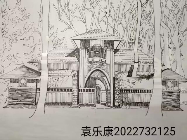 【志愿服务】三治融合展新颜 共促振兴强发展