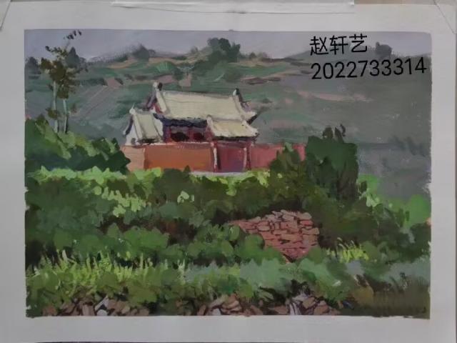 【志愿服务】三治融合展新颜 共促振兴强发展